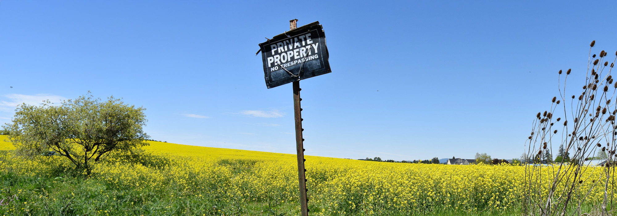 A wooden sign that reads 